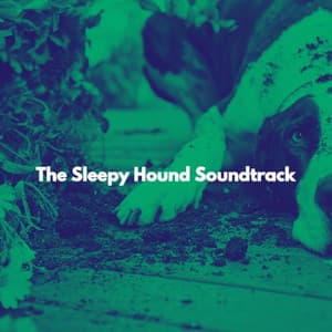 The Sleepy Hound Soundtrack - Luxury Jazz Radio
