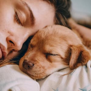 Confort Canino: Tonos Relajantes Para Perros - Huellas Musicales