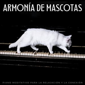 Armonía De Mascotas: Piano Meditativo Para La Relajación Y La Conexión - Piano de salón suave