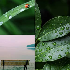 Feelings for Relaxing Spring Time - Luxury Lounge Cafe Allstars