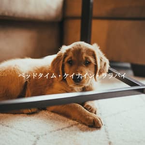 ベッドタイム・ケイナイン・ララバイ - French Cafe Jazz