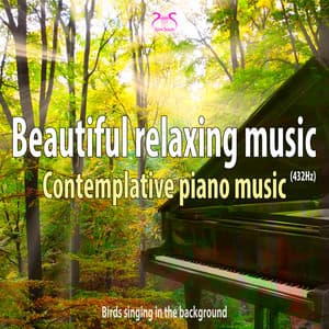 Beautiful Relaxing Music : Contemplative Piano Music - Torsten Abrolat