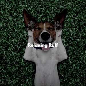 Relaxing Ruff - Restaurant Background Playlist