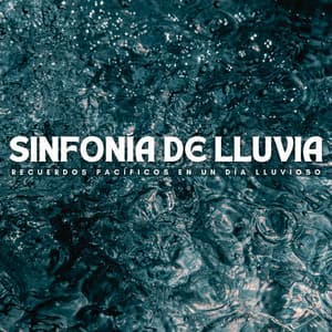Sinfonía De Lluvia: Recuerdos Pacíficos En Un Día Lluvioso - Sonidos de lluvia y sonidos de la naturaleza