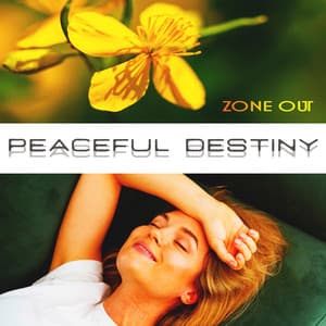 Peaceful Destiny - Zone Out