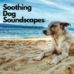 Soothing Dog Soundscapes: Reflective Ambient Music - Granular Soundscape