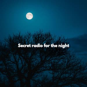 Secret radio for the night - Bossa Nova Brazil