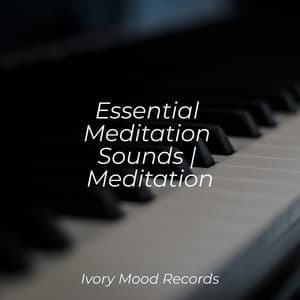 Essential Meditation Sounds | Meditation - Ivory Mood