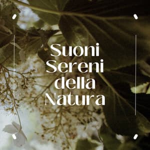 Suoni sereni della natura: musica rilassante per l'anima - Meditazione