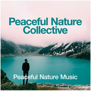 Peaceful Nature Collective - Peaceful Nature Music