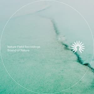 Sound of Nature - Nature Field Recordings