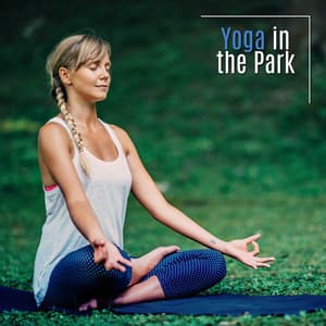 Yoga in the Park: Natural Ambient for Intense Himalayan Yoga Stretching - Yoga Asanas Music Paradise