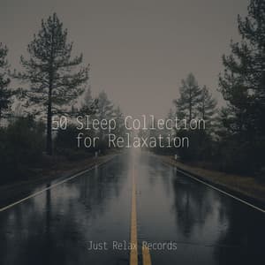 50 Sleep Collection for Relaxation - Thunderstorm Sound Bank