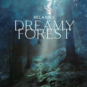 Relaxing Dreamy Forest - Nature Sounds Artists