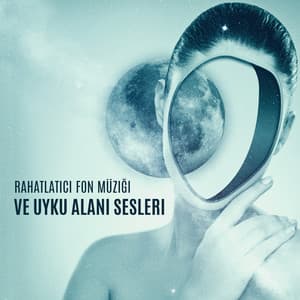 Rahatlatıcı Fon Müziği ve Uyku Alanı Sesleri: Derin Gevşeme ve Stres Giderme - Gevşeme Meditasyon Akademisi