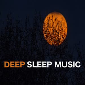 Deep Sleep Music - Deep Sleep