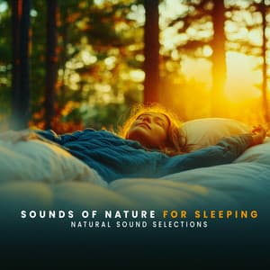 Sounds of Nature for Sleeping - Natural Sound Selections