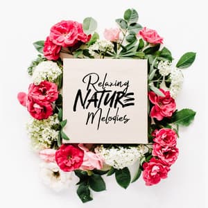 Relaxing Nature Melodies After a Busy Day/Week - Natural Soothing Melodies