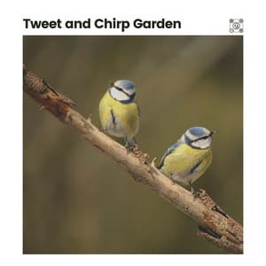 Tweet and Chirp Garden - Nature Of Sweden