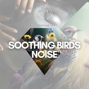 Soothing Birds Noise and the Tones of a Hang Drum - Hang Drum and Nature