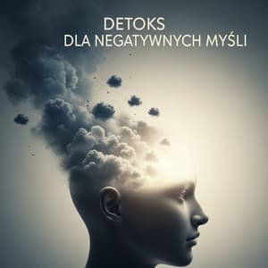 Detoks dla Negatywnych Myśli - Zenon Szum