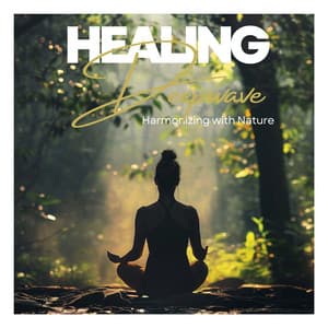 Harmonizing with Nature: 538 Hz Tibetan Singing Bowls for Holistic Wellness and Tranquil Meditation - Healing Deepwave