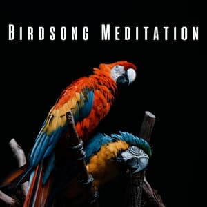 Birdsong Meditation: Serene Nature and Chill Music - Birds Of The West