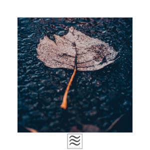 Stormy Rainfall Sounds for Sleeping - Lightning, Thunderstorms & Rain Storm Sounds