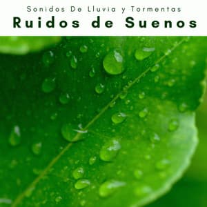 2 0 2 2 Ruidos de Suenos - Sonidos De Lluvia y Tormentas