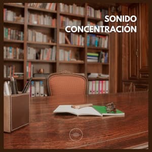 Sonido Concentración - Ruido Marrón Para Concentración