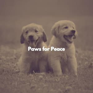 Paws for Peace - Abend Jazz