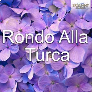 Rondo Alla Turca - Wolfgang Amadeus Mozart