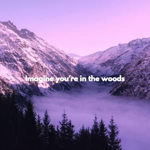 Imagine you're in the woods - Easy Listening Jazz