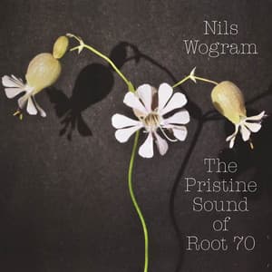 The Pristine Sound of Root 70 - Nils Wogram