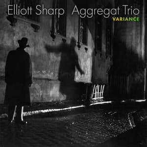 Aggregat Trio: Variance - Elliott Sharp
