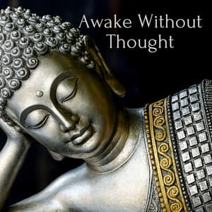 Awake Without Thought - Spiritual Enlightenment Unit