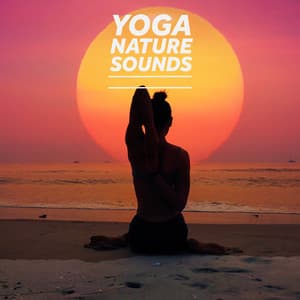 Soothing Ferns of Pine - Yoga Nature Sounds