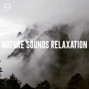 Nature Sounds Relaxation - Nature Sounds Lab