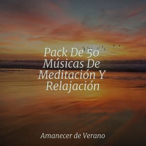 Pack De 50 Músicas De Meditación Y Relajación - Rumbas de España