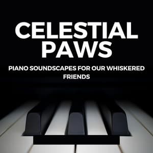 Celestial Paws: Piano Soundscapes for Our Whiskered Friends - Relaxing Jazz Piano