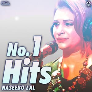 No.1 Hits - Naseebo Lal