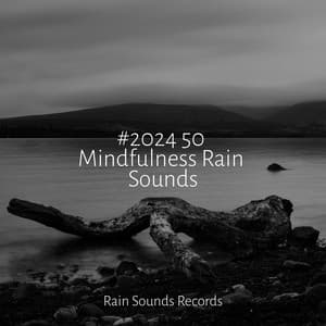#2024 50 Mindfulness Rain Sounds - Canciones de Cuna para Bebés Acadèmico