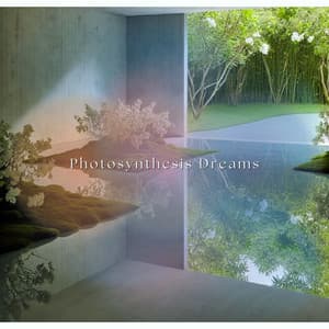 Photosynthesis Dreams - Zen Soothing Sounds of Nature