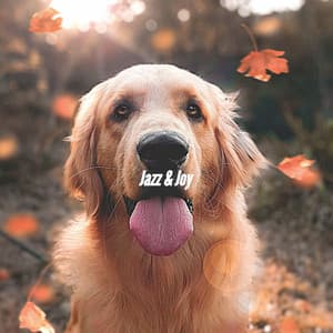 Jazz & Joy - Dog Separation Anxiety Music
