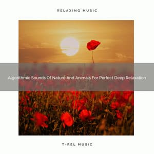 Algorithmic Sounds Of Nature And Animals For Perfect Deep Relaxation - Water Soundscapes