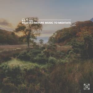 Relieved Nature Music to Meditate - Wildlife Sound Recordings