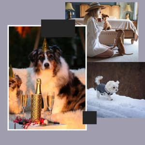 Backdrop for Doggy Bedtime - Easy Trumpet, Electric Piano, Alto Sax and Soprano Sax - Dog Jazz Sounds