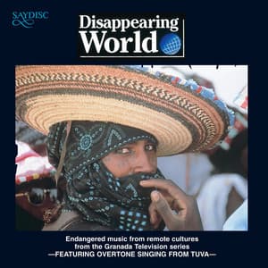 Disappearing World - Anon