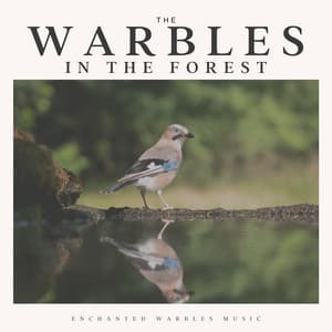 The Warbles in the Forest - Forest Sounds
