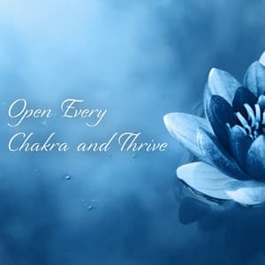 Open Every Chakra and Thrive - Chakra Meditation Zone